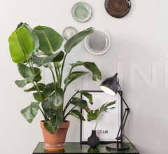 Журнальный столик Glazed фабрика Zuiver