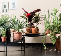 Кофейный столик Cupid Large & XXL фабрика Zuiver