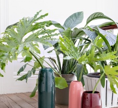 Итальянские Вазы - Ваза CARLA Итальянские Вазы - Ваза CARLA фабрика Schonbuch