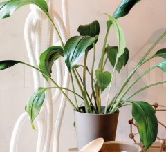 Итальянские Аксессуары для интерьера - Шкатулка BOWL Итальянские Аксессуары для интерьера - Шкатулка BOWL фабрика Schonbuch