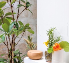 Итальянские Аксессуары для интерьера - Шкатулка BOWL Итальянские Аксессуары для интерьера - Шкатулка BOWL фабрика Schonbuch