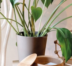 Итальянские Аксессуары для интерьера - Шкатулка BOWL Итальянские Аксессуары для интерьера - Шкатулка BOWL фабрика Schonbuch