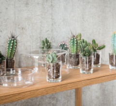 Итальянские Кухонная посуда - Блюдо JAR Итальянские Кухонная посуда - Блюдо JAR фабрика Schonbuch