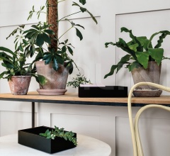 Итальянские Аксессуары для интерьера - Коробка для хранения TALLY Итальянские Аксессуары для интерьера - Коробка для хранения TALLY фабрика Schonbuch