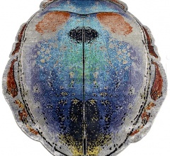 Ковер SCARABEO Ковер SCARABEO фабрика Sitap