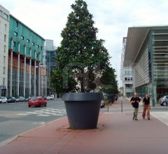 Горшок GIO MONSTER Горшок GIO MONSTER фабрика Slide