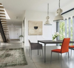 Стул Zadie Стул Zadie фабрика Marac