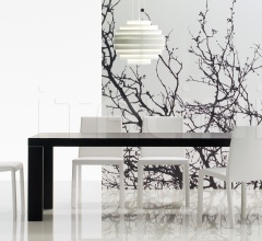 Стул Fly Tre фабрика Poliform