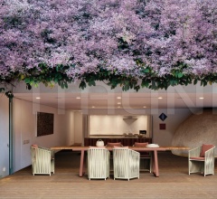 Стул Bitta Lounge Full Dining chair фабрика Kettal