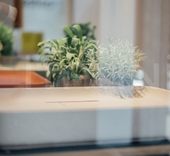 Итальянские Ванная - Раковина Petra Итальянские Ванная - Раковина Petra фабрика Agape