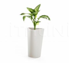 Горшок Eve фабрика B-Line