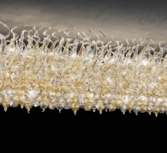 Итальянские Потолочные светильники - Потолочный светильник C-E.H.F.S. 33 Итальянские Потолочные светильники - Потолочный светильник C-E.H.F.S. 33 фабрика Glass&Glass