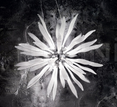 Итальянские Свет - Подвесной светильник CORALLO SP8 Итальянские Свет - Подвесной светильник CORALLO SP8 фабрика Ideal Lux