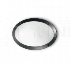 Итальянские Уличные светильники - Настенный светильник MADDI-1 AP1 фабрика Ideal Lux