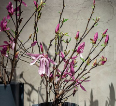 Ваза Gli Oggetti Leather Pot Ваза Gli Oggetti Leather Pot фабрика Poltrona Frau